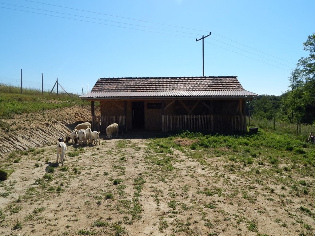 staja