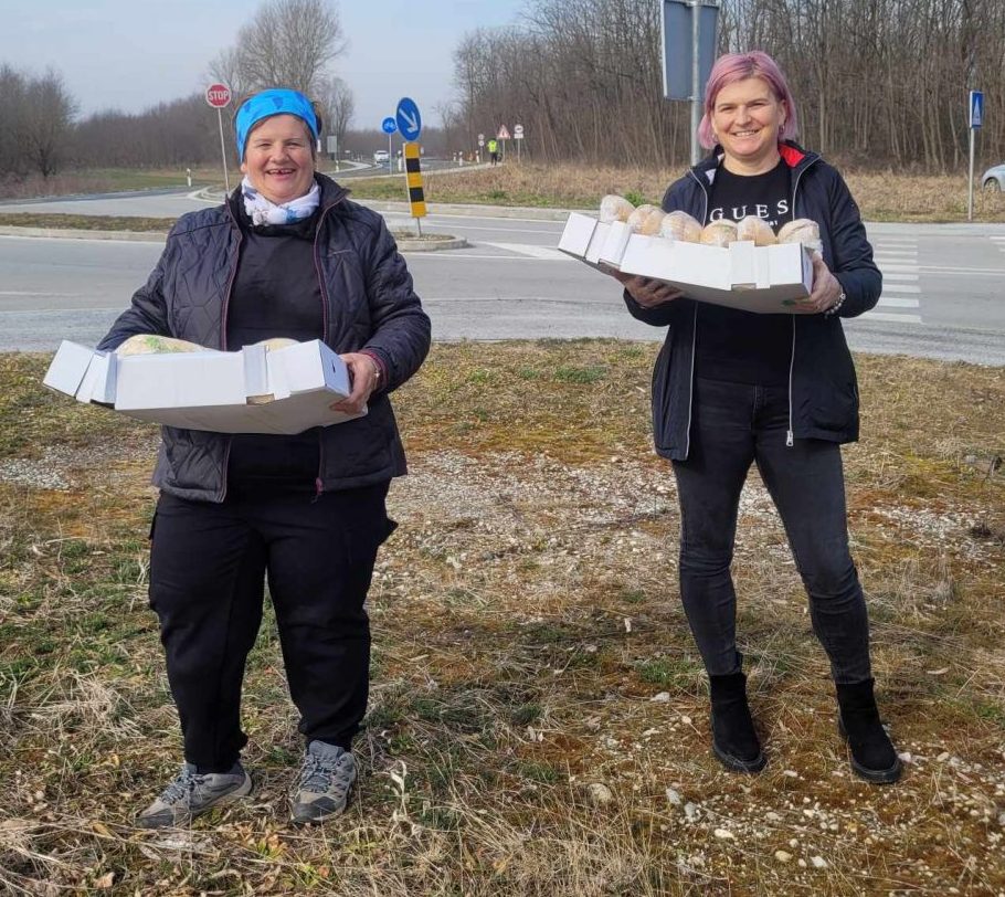 Volonterska akcija