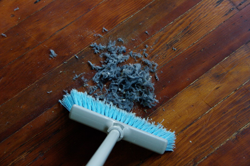 Znanstvenici u kućnoj prašini otkrili 10 toksičnih komponenata mnovine.hr