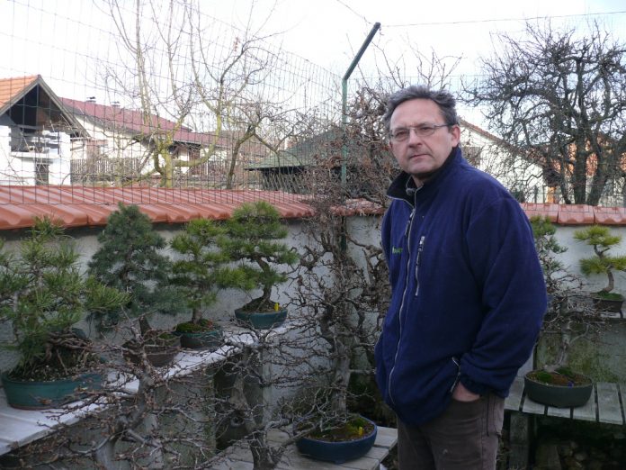 Adrian Horvat bonsai