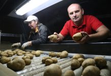 Udruga proizvođača merkantilnog krumpira Međimurja prosvjed