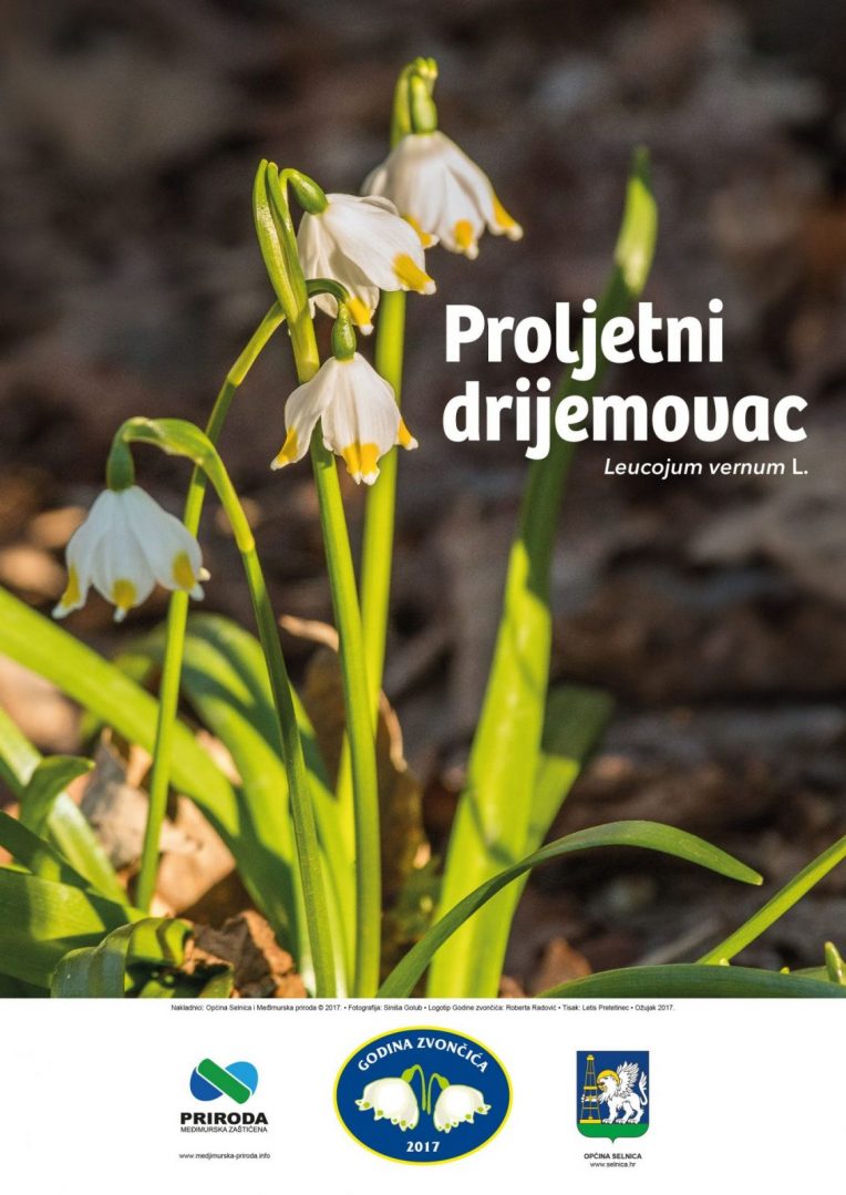 Godina zvončića plakat