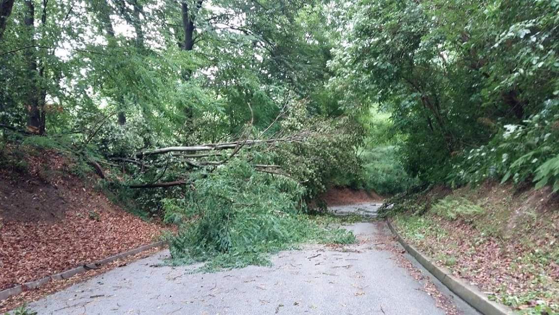 Porušena stabla zakrčila su promet na dosta mjesta