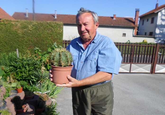 Ivan Juras kaktusi