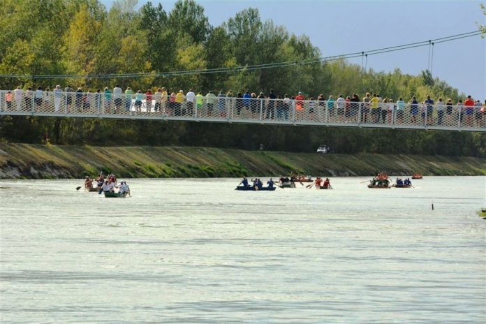 Fljojsar regata