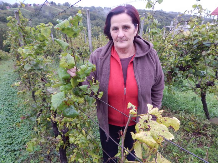 Marta Dvanajščak