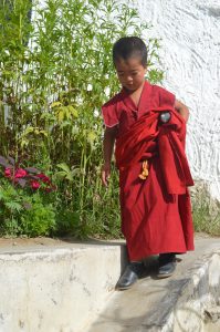 Vesna Perhoč - Mali Tibet (9)