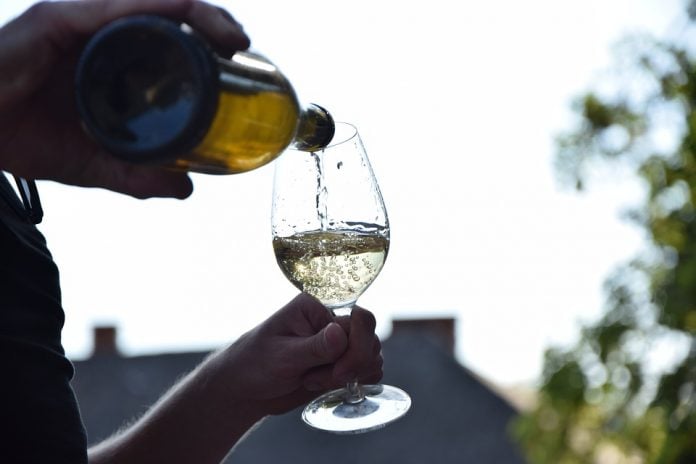 pijenje alkohol vino