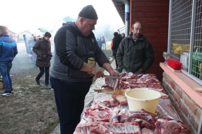 Kolinje u Goricanu (4)