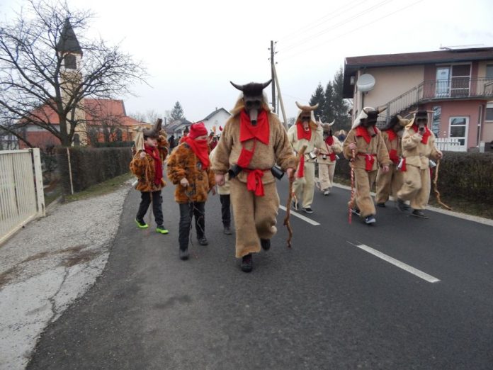fasnik zasadbreg