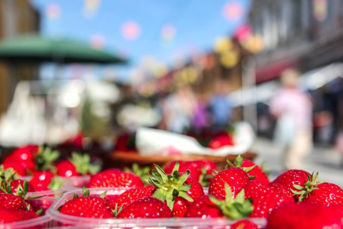 Festival cvijeća, jagoda i tradicije Čakovec