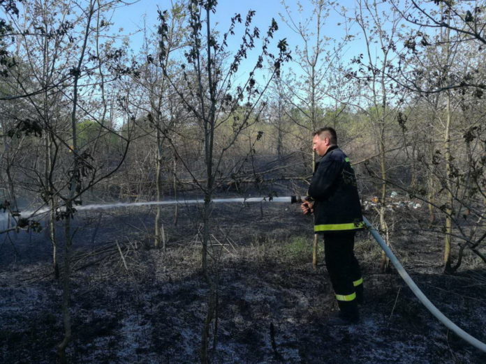 požar šume kod Črečana1