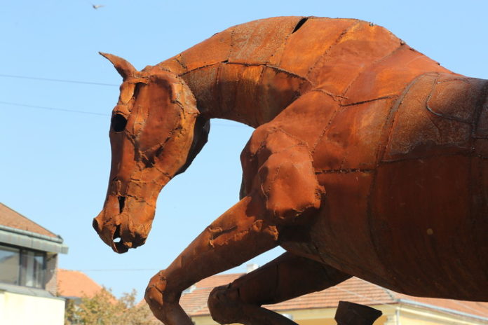 skulptura konj cakovec (1)
