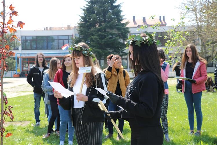 Zdrav za 5 (5)