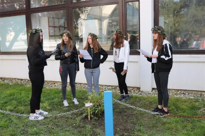Zdrav za 5 (7) Zdrav za 5 (7)