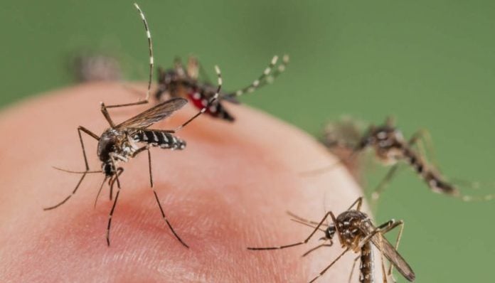 zaprasivanje komaraca