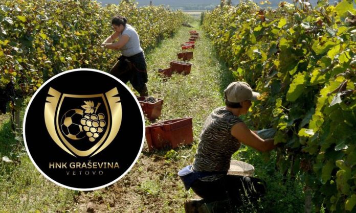 HNK GRAŠEVINA