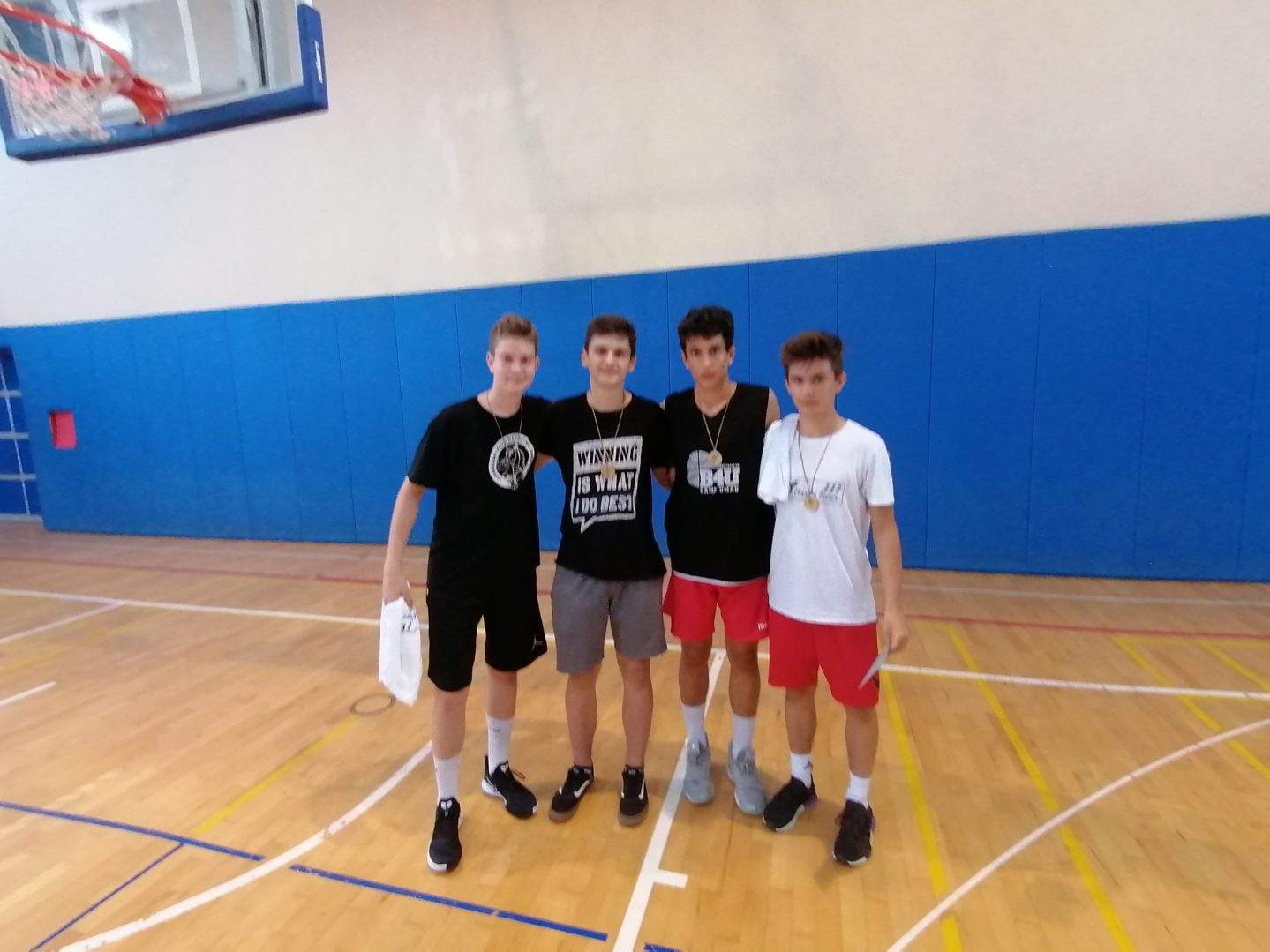 basket fever