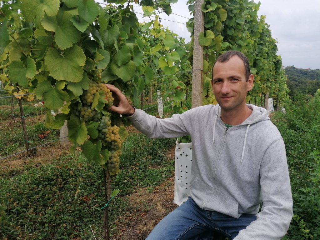 Petar Kocijan