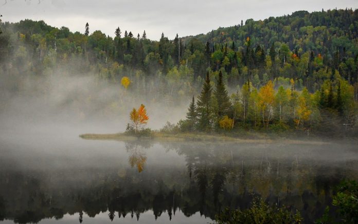 landscape-4547734_960_720