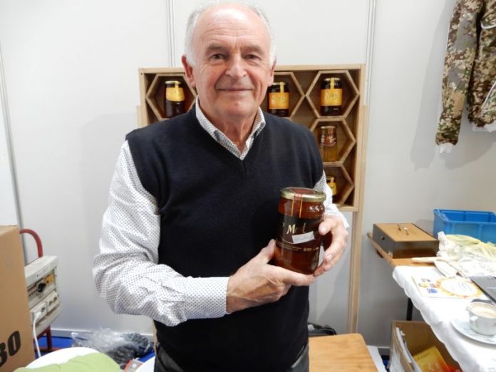 Josip Dobranić