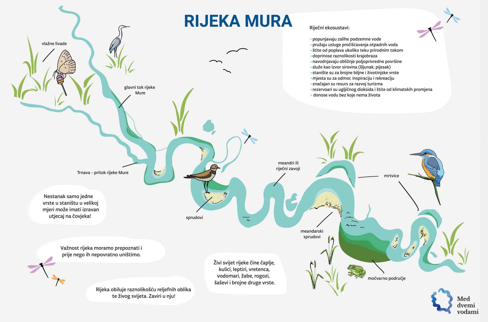 rijeka Mura - ilustracija vlasništvo Međimurska priroda