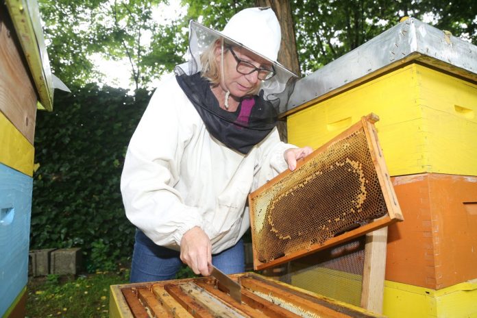 pomor pčela gardinovec zdenka horvatić129