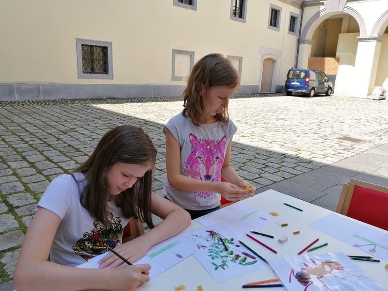 Radionica Leptir se mota oko našeg plota
