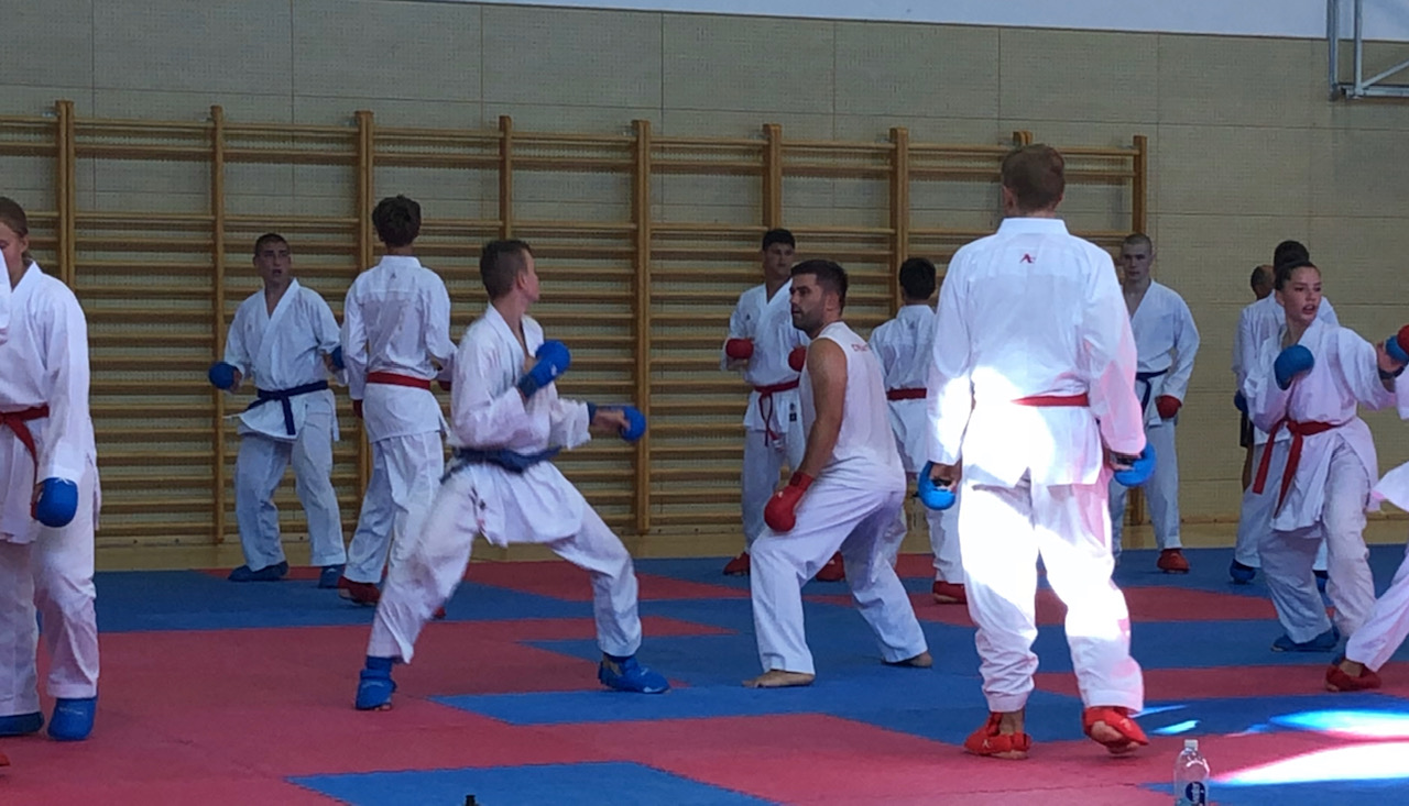 hrvatska karate reprezentacija 2