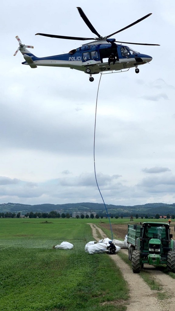 Transport marihuane