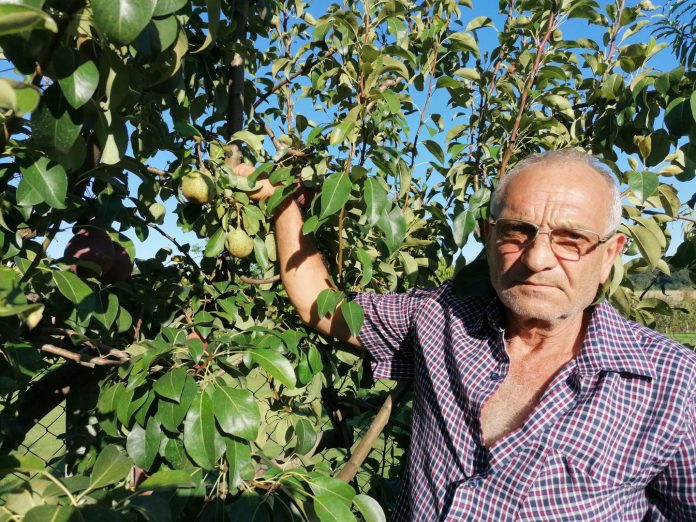 zdravko hatlak