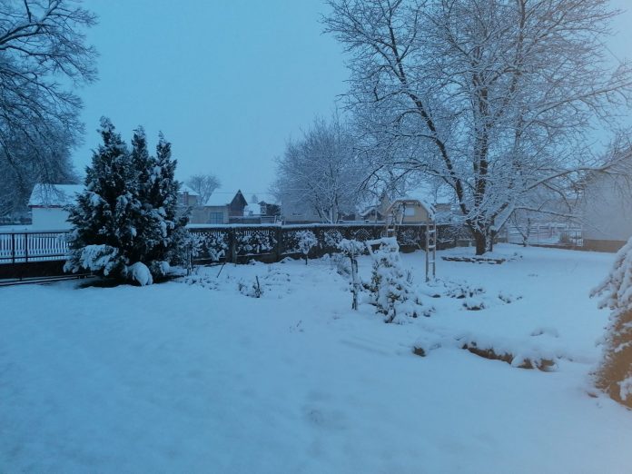 snijeg