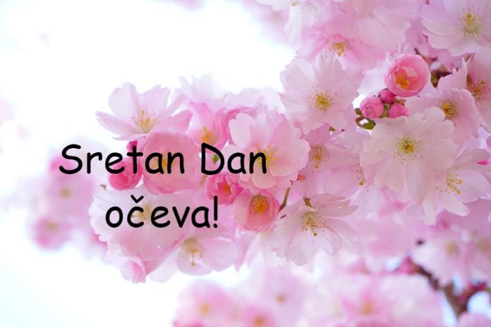 dan očeva