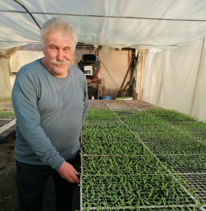 ivan trupković 1