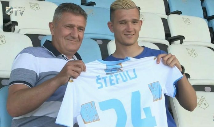 Danijel Štefulj