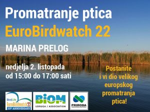 Eurobirdwatch22 - Marina Prelog