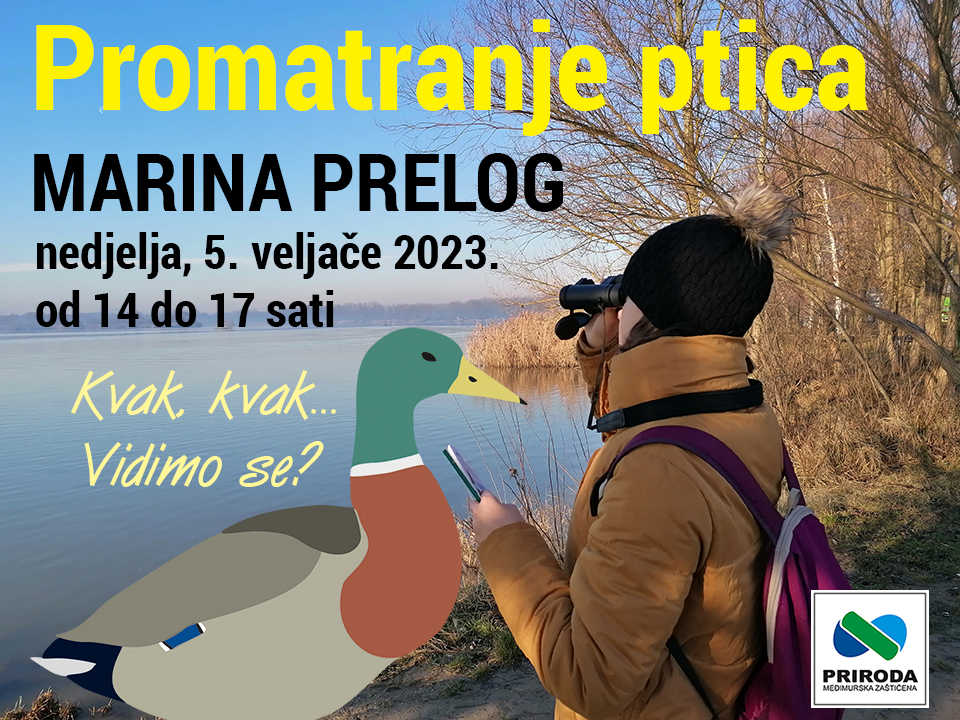 Marina Prelog pticarenje 5. veljače 2023.
