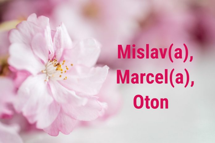 mislav, marcela, oton