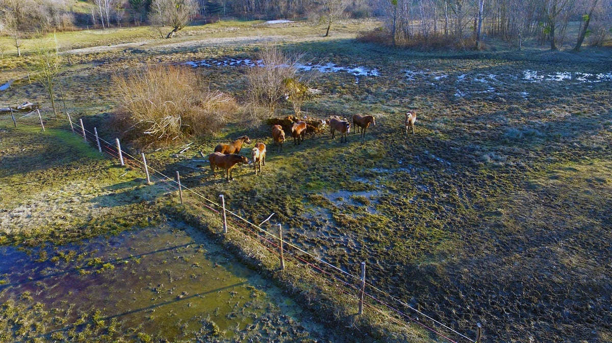 gmajna Zabnik - izvor foto: Neven Kutnjak