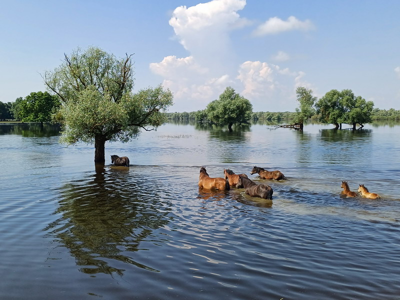 LAG Mura-Drava u Moslavini (9)