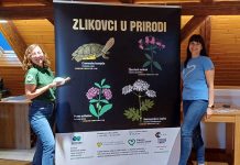 roll up Zlikovci u prirodi 01