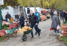 Sajam u Čakovcu 15.11.2023.
