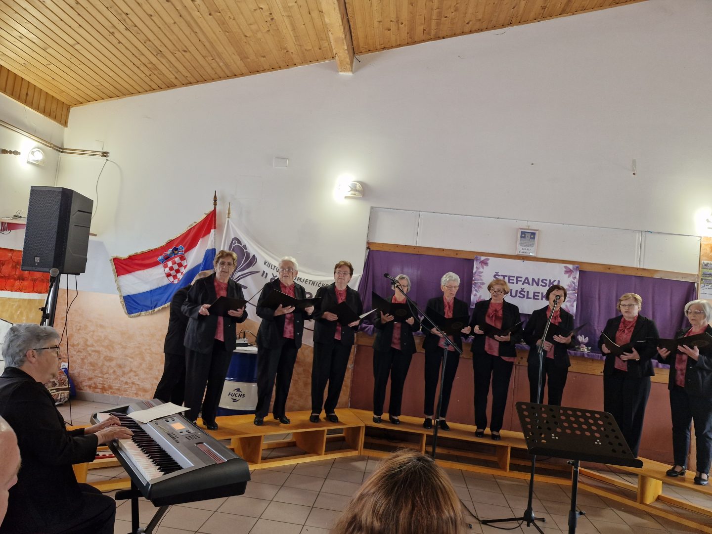 Ženska vokalna skupina „Društvo žena Gornji Kraljevec