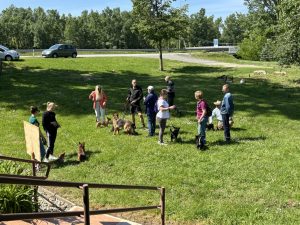 Psi i njihovi vlasnici stoje na travnatoj površini.