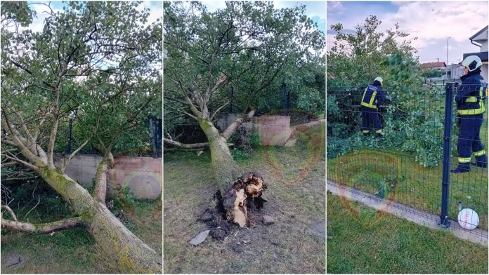 Mursko Središće drvo nevrijeme