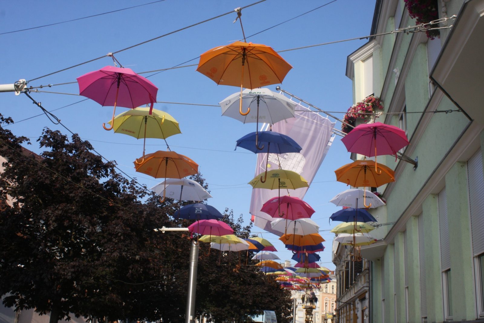 Postavljeni kišobrani u centru