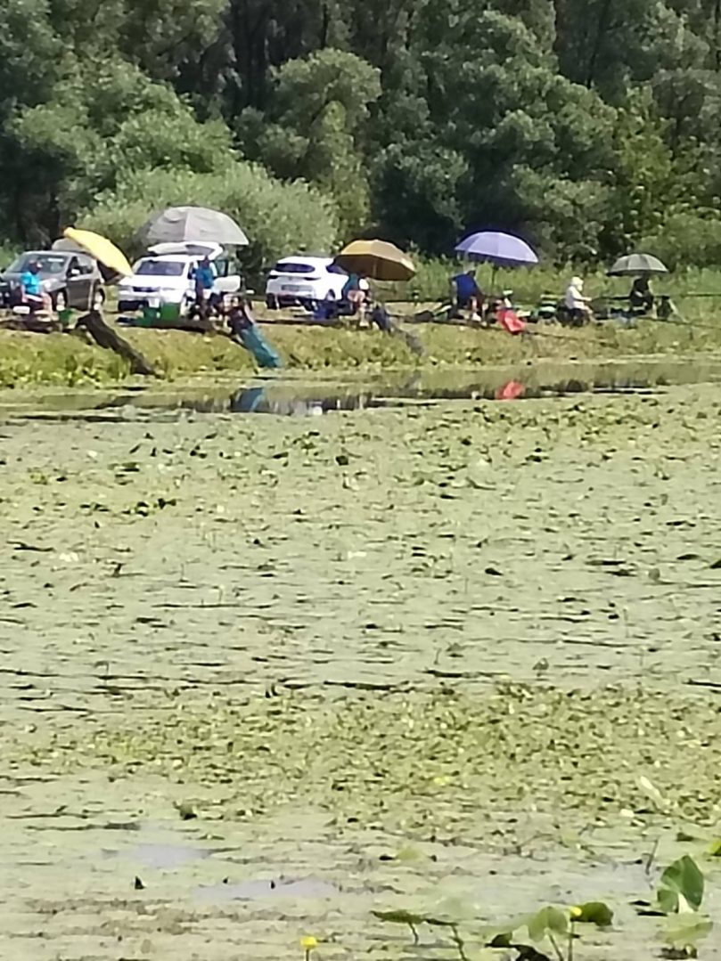 Ribiči na 4. kolu u ribolovu udicom na plovak za mastere i veterane