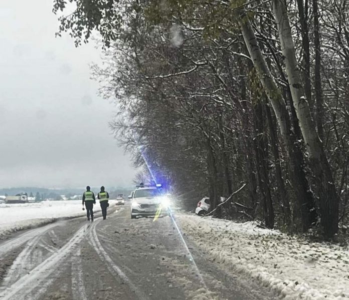 Policijski auto i policajci