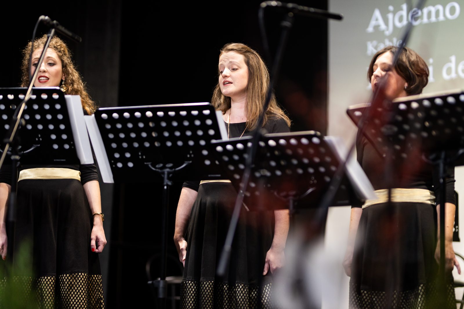 Rođendanski koncert ŽVS Stridonne
