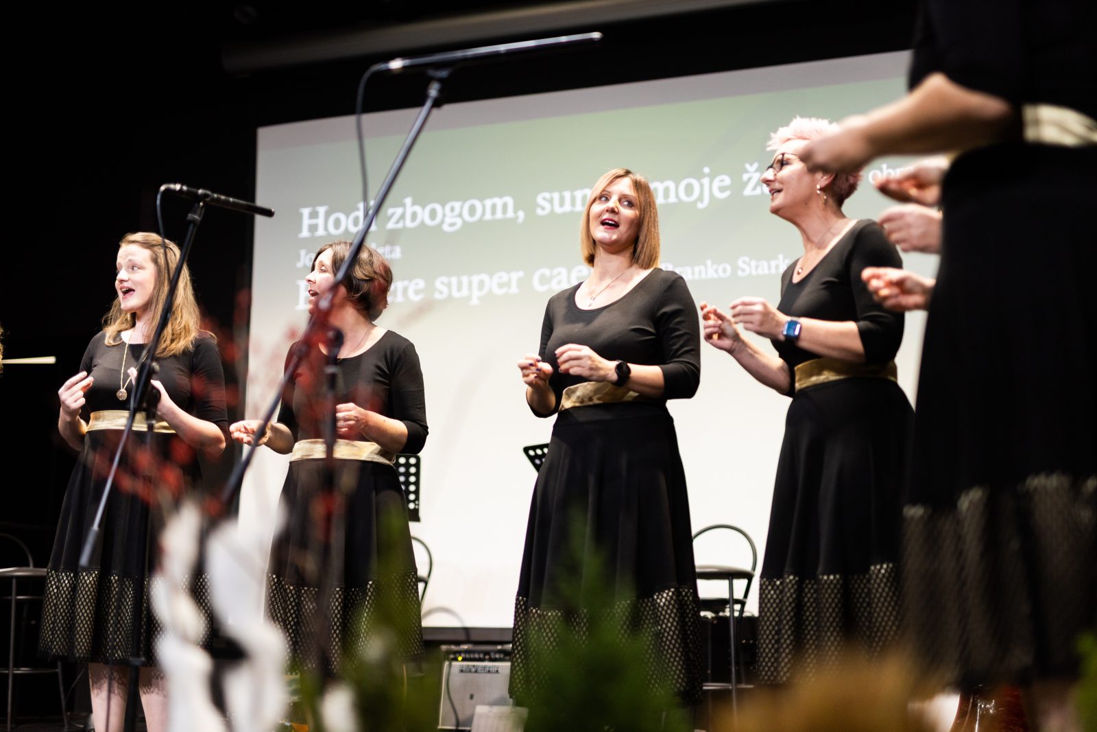 Rođendanski koncert ŽVS Stridonne